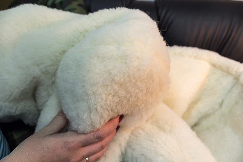 Руки держат белый овечий мех